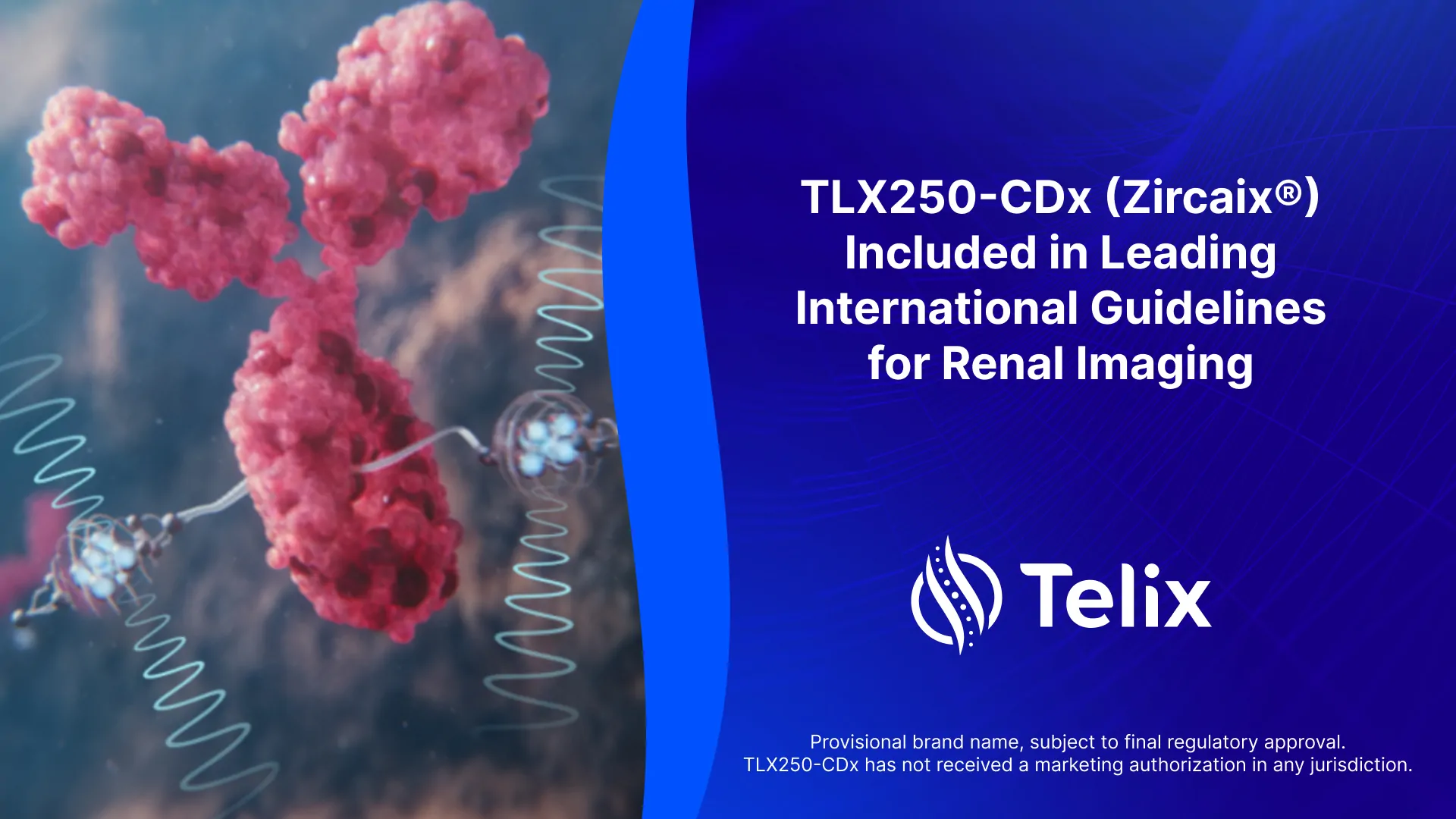 TLX250-CDx (Zircaix®) Included in Leading International Guidelines