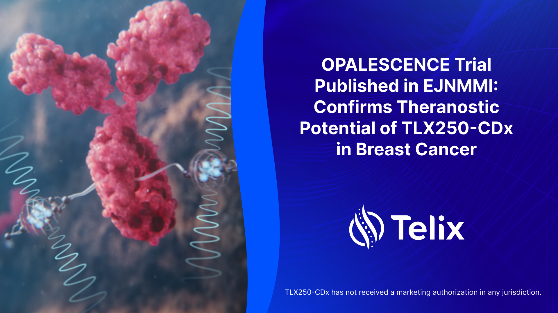 ☆　ねね様｜Biocell２＋ ルース　バイタルT OPALESCENCE Trial Published in EJNMMI: Confirms Theranostic