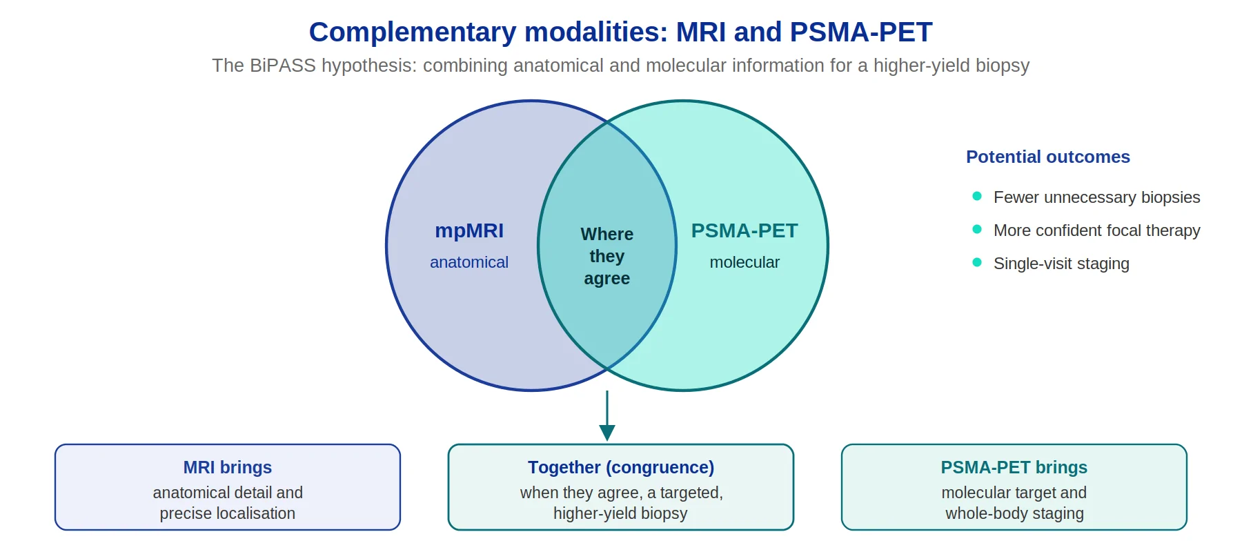 Comparison of MRI and PSMA-PET imaging showing different information about a lesion